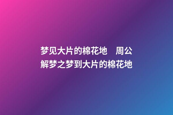梦见大片的棉花地　周公解梦之梦到大片的棉花地